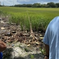 The Impact of the Pollution Crisis in Fort Mill, SC on Low-Income Communities