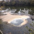 The Fight Against Water Pollution Crisis in Fort Mill, SC