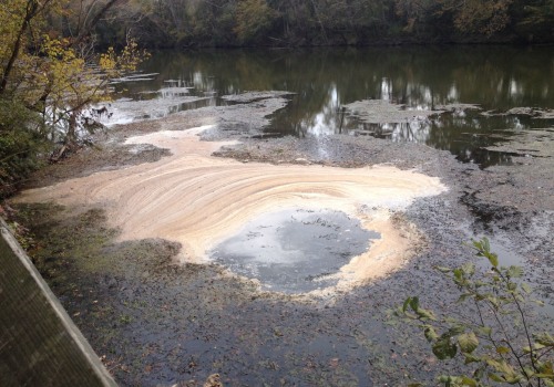 The Pollution Crisis in Fort Mill, SC: A Closer Look at Common Pollutants