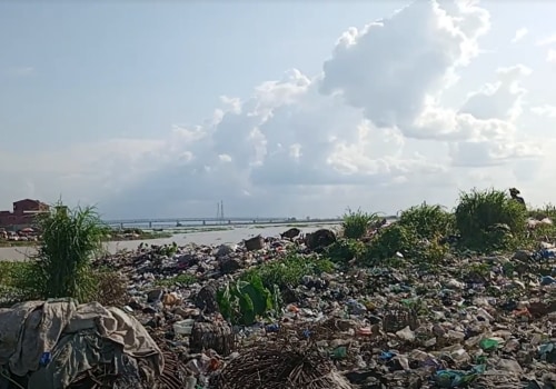 The Pollution Crisis in Fort Mill, SC: How Individuals Can Make a Difference