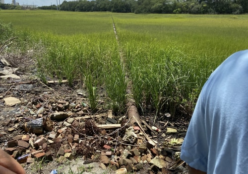 The Impact of the Pollution Crisis in Fort Mill, SC on Low-Income Communities